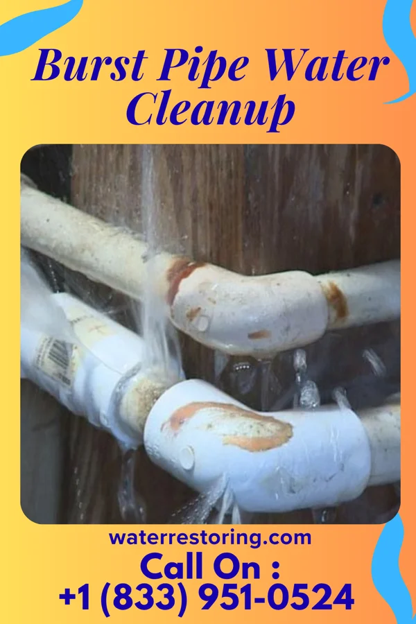 Burst Pipe Water Cleanup in Muncie, IL