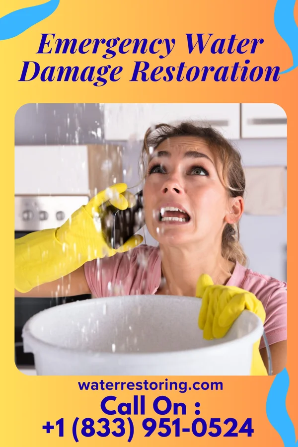 Emergency Water Damage Restoration in Muncie, IL