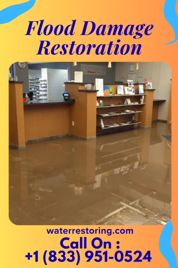 Flood Damage Restoration in Muncie, IL